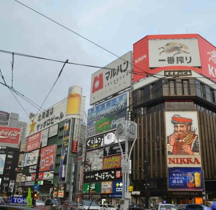 pexels-shimada-masaki-67885393-12884934 (1)